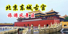 欧美美女啊啊啊哦哦哦视频在线观看中国北京-东城古宫旅游风景区